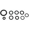 Standard Ignition Fuel Rail O-Ring Kit, Sk24 SK24